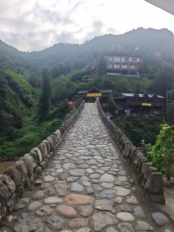 Timisvat Osmanlı Taş Kemer Köprüsü